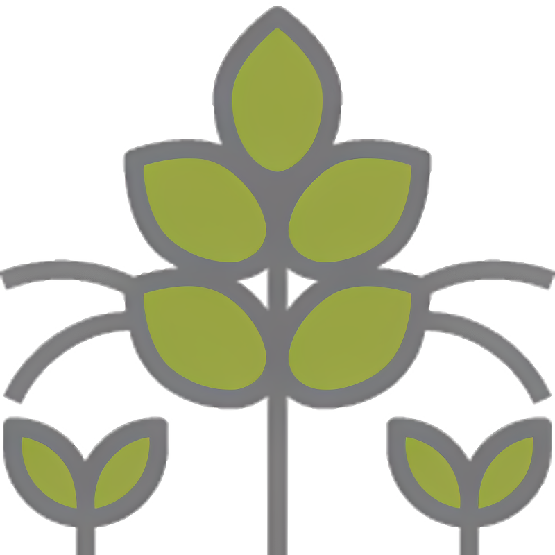Agroforestal