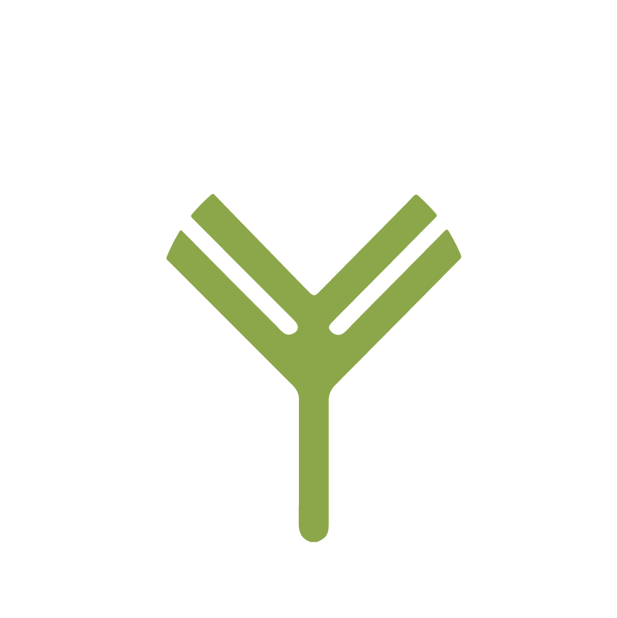 Tropical Forest Development